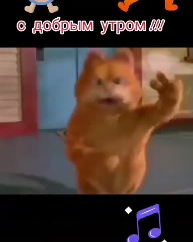 meshcheriakovagali-___CGBWpIxHrRH___-