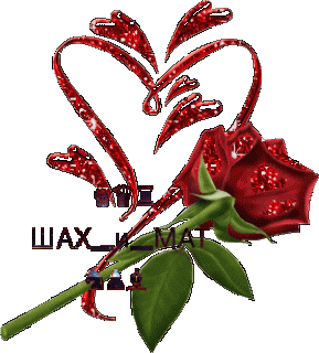 РозаШиМ2