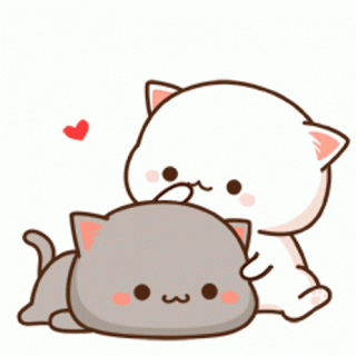 Котэ3