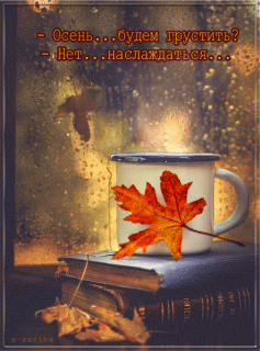 gifotkrytki___ph_67_2_640647903