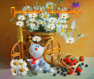 Воскресенье ромашки