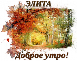 Доброе утро элита