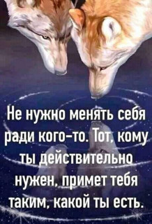 FB_IMG_1601129735063-_im