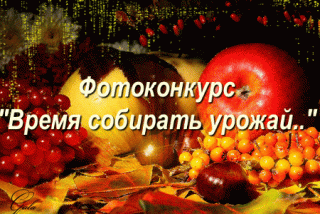 bloggif_5f83295ae0768