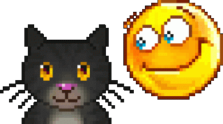 Гладит котика