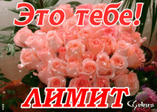 1602595768232_limit