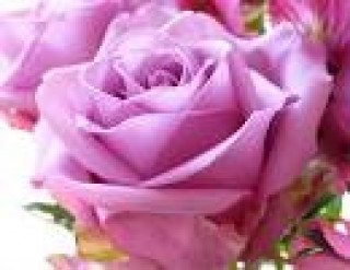 images-2