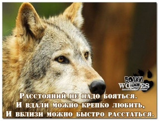 1pOlQh4lNRJ5V__000_-_im
