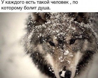 image4-_im