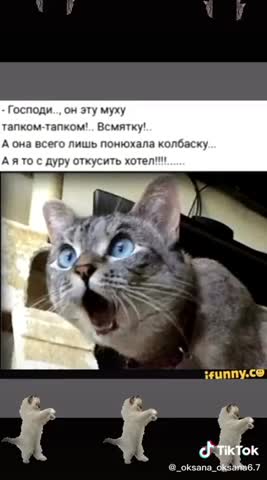 50be037d7e732666c3dd9b29ebf08fb4-_im