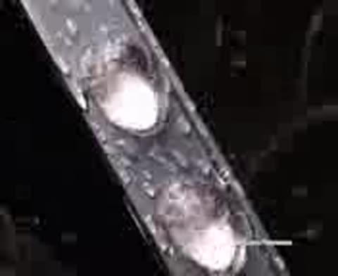 Тайна_воды__Самые_шокирующие_гипотезы_с_Игорем_Прокопенко__12_10_2020_