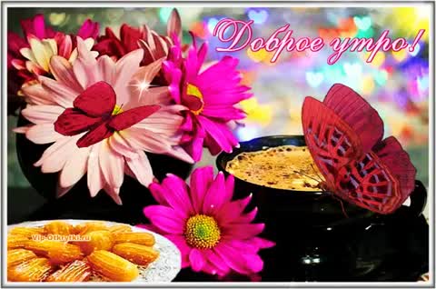 Доброе утро