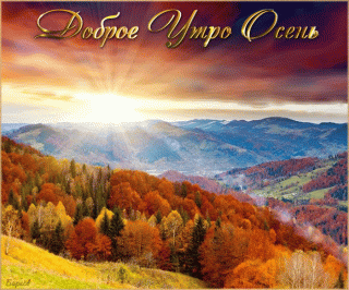 6f8339a6625a3cd4781e64aa012a1634