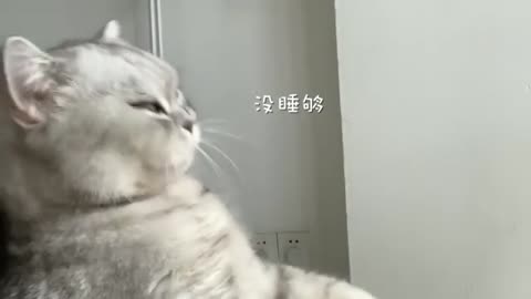 foodvideoyt-___CGcRCqZhUoK___-