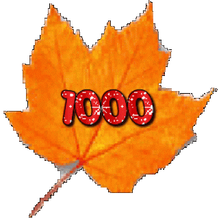 1000