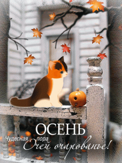 Осенькотенок