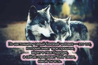 8yfDttEc_5A-_im