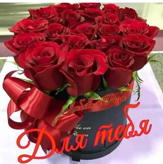 _j_ledi_-___CF5G_E1nBiA___-