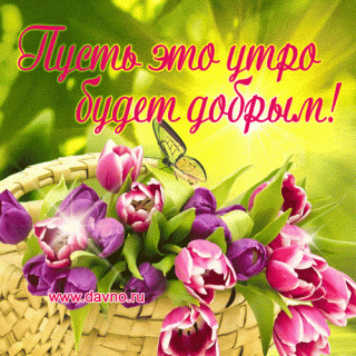 10-41-01-dobroe-utro-151