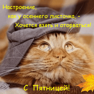 pyatnica-nastroenie-kak-u-osennego-listochka-xochetsya-vzyat-i-otorvatsya