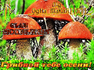 Foiz__Foiz__jyKqvr4cVKTJ