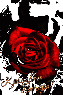 cb0fbd0ebe7516a13236da54be4031d4