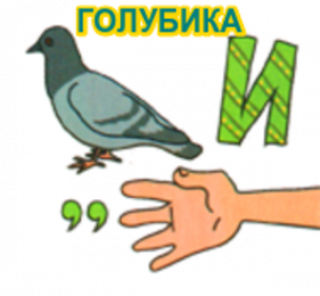 РБ голубика