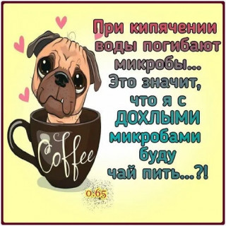 elkonatalia-___CGuDjKHDlOn___-