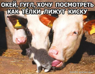 124503165_image_67_nashobmen_-_im