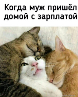 126112894_image_40_nashobmen_-_im