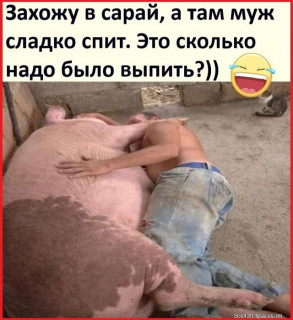 126189880_1602688040934_image_nashobmen_-_im