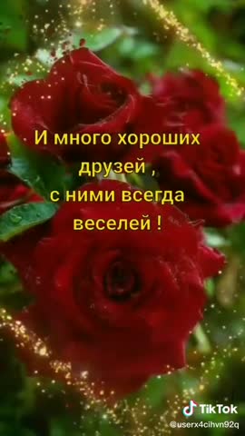 video-b86da5d6abf413737304c0a2c188702f-V