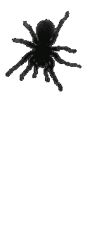 749ec58305315a0cce91db8fd83a803aa5158690_hq