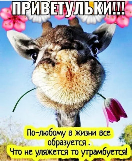 frazivsluh-___CG7GoOejdJq___-