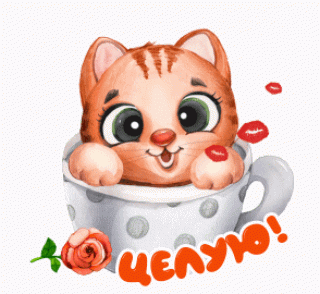 a0fa23eddb2f0daad20309762243cf41