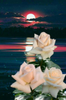 dc034242-7376-4065-957b-64dd7583c92b