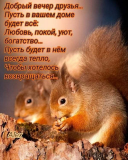 marinabazheno-___CG-ZlF_l8S4___-