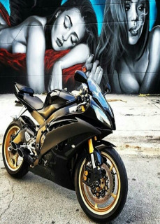 IMG-20201031-WA0033_500x700