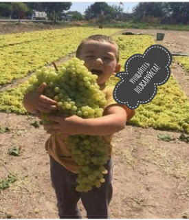 IMG_20201101_114008-02