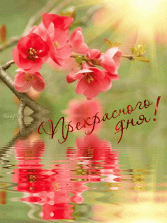 otkrytki-i-kartinki-mercaushhie-animacionnye-blestyashhie-gif-horoshego-dnya-dzyam-63