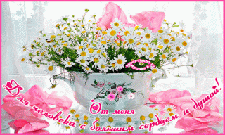 Ромашки для тебя