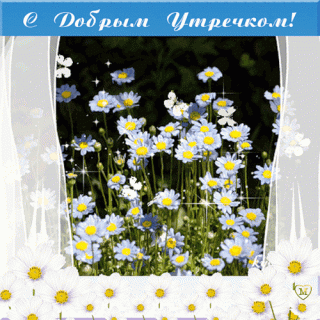 С_добрым_утречком_За_окном_за_легкими_шторами_цветут_ромашки