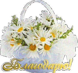 1503347403_2202-blagodaryu