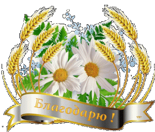 1503339684_2166-blagodaryu