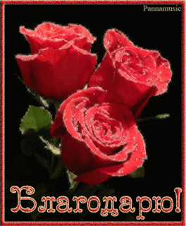 1503339473_2164-blagodaryu