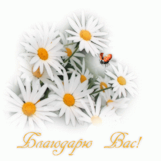 1503336355_2153-blagodaryu-vas