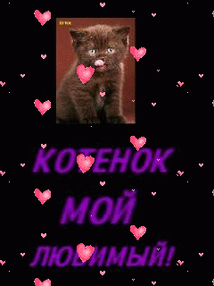 Котеноклюбимый