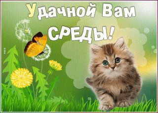 Среда скотенком