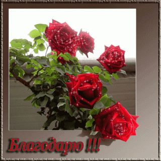 б1502507846_1011-blagodaryu