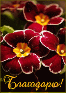 б1503336552_2155-blagodaryu